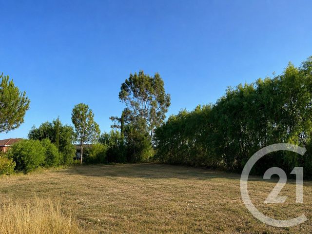 Terrain &agrave; vendre - 1005 m2 - St Sulpice La Pointe - 81 - MIDI-PYRENEES