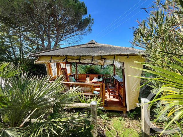 Maison &agrave; vendre - 12 pi&egrave;ces - 450 m2 - Gaillac - 81 - MIDI-PYRENEES