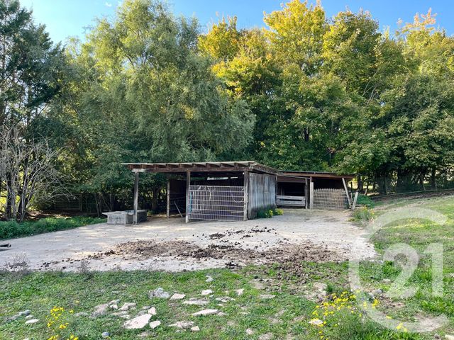 Maison &agrave; vendre - 12 pi&egrave;ces - 450 m2 - Gaillac - 81 - MIDI-PYRENEES